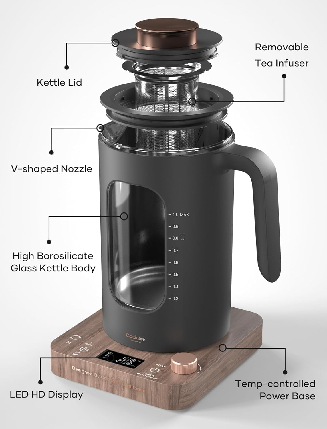 Electric Tea Kettle with Infuser, ±1℉ Temperature Control, 1L